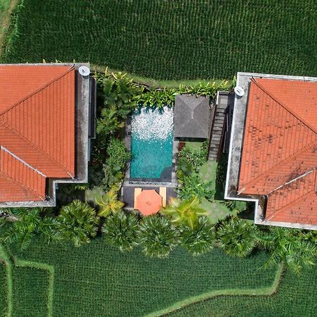 Cenik Villa Ubud Exteriér fotografie