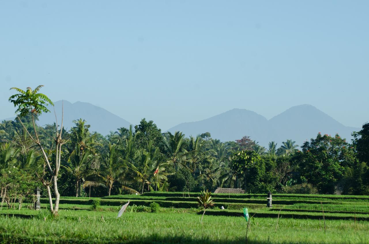 Cenik Villa Ubud Exteriér fotografie
