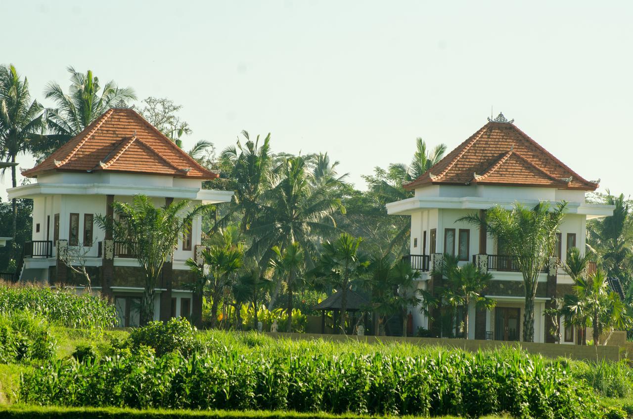 Cenik Villa Ubud Exteriér fotografie