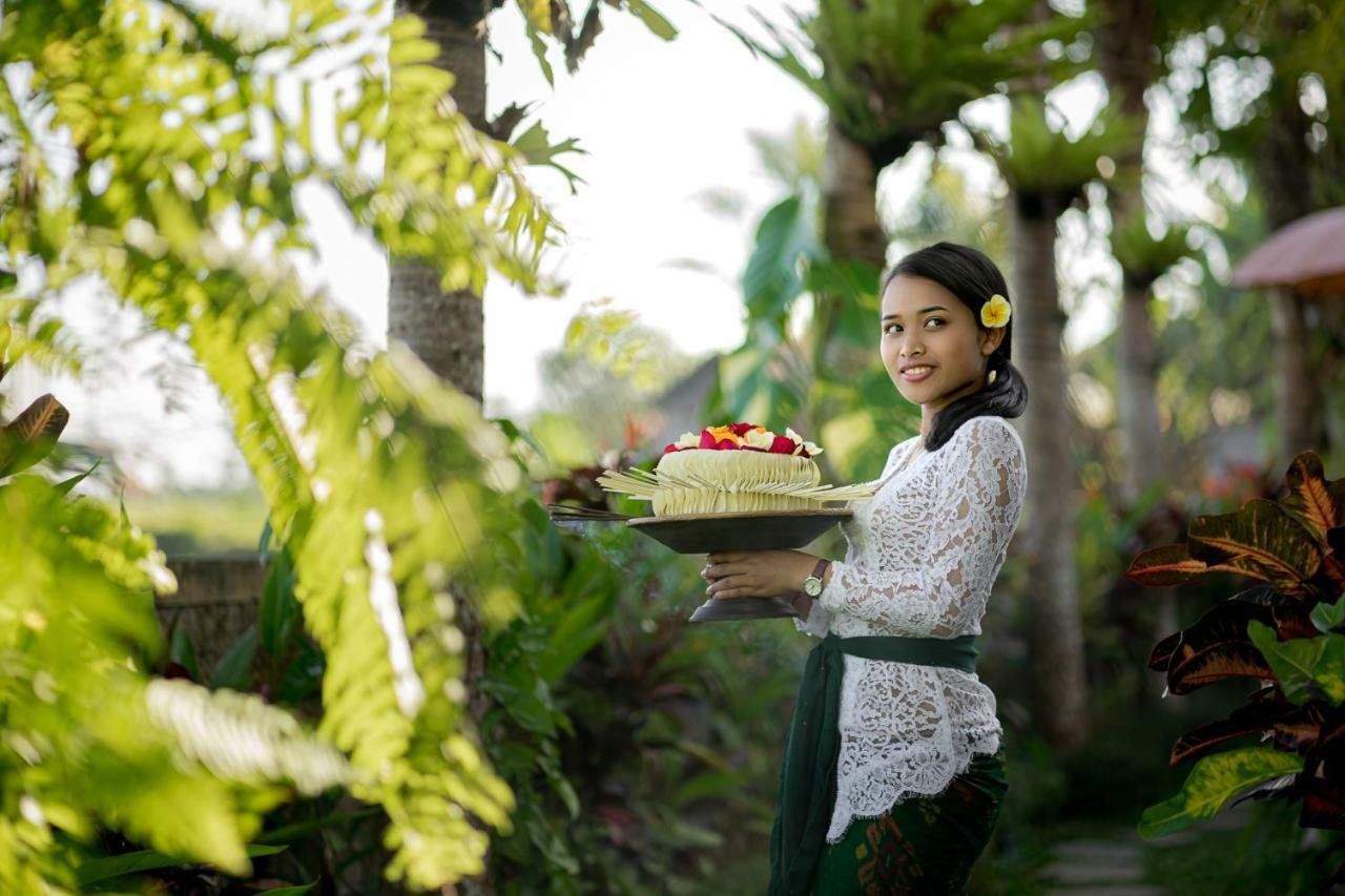 Cenik Villa Ubud Exteriér fotografie