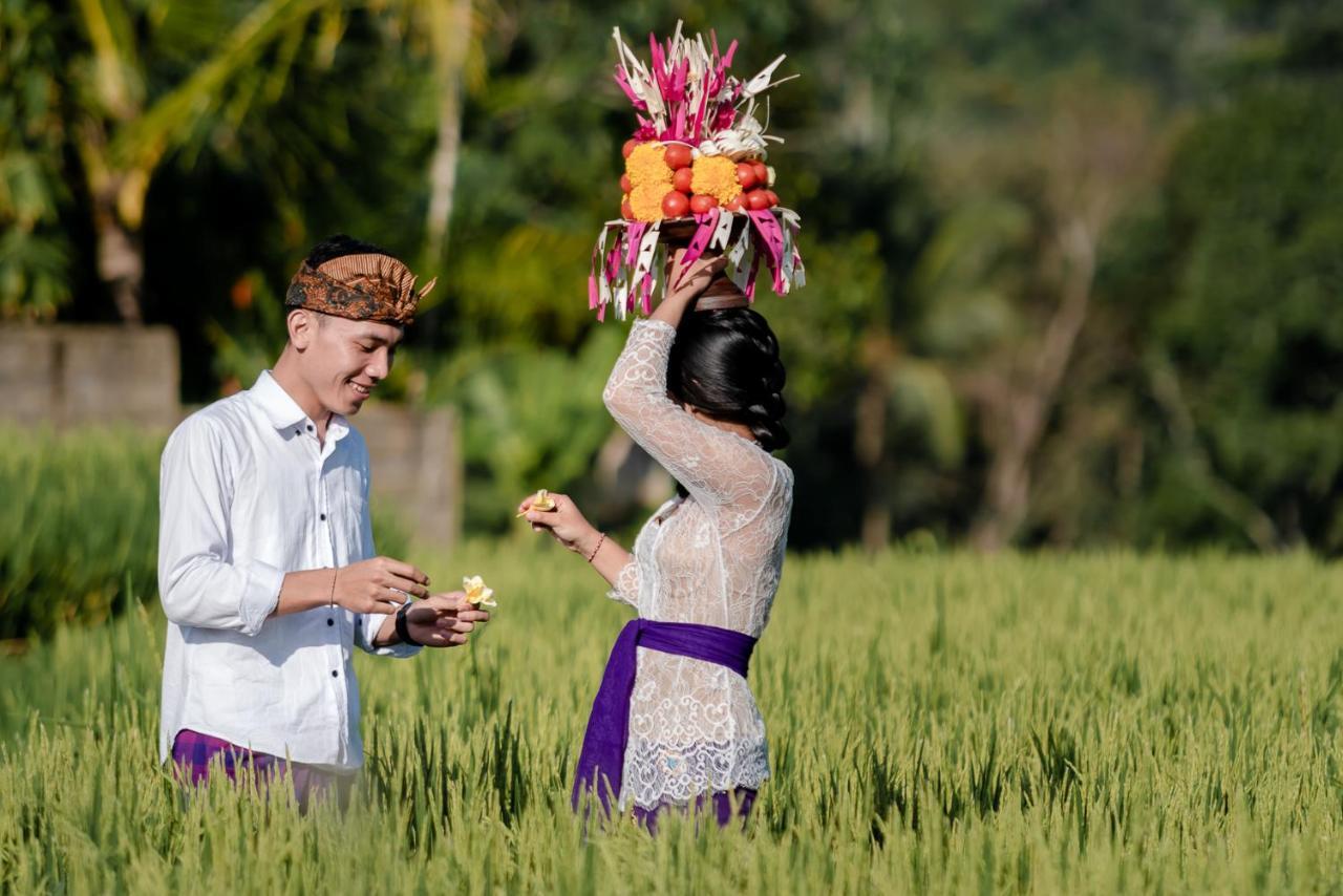 Cenik Villa Ubud Exteriér fotografie