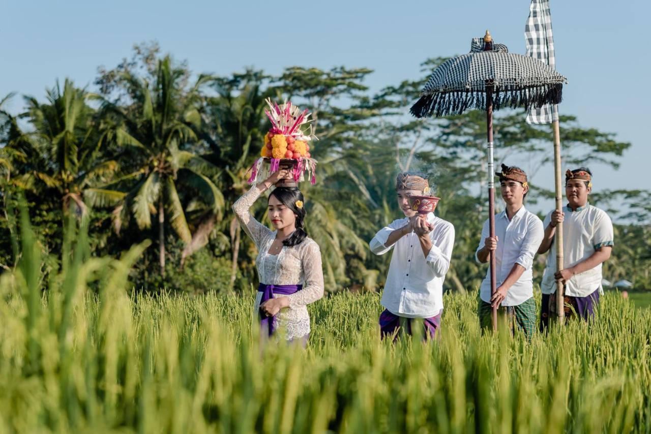Cenik Villa Ubud Exteriér fotografie