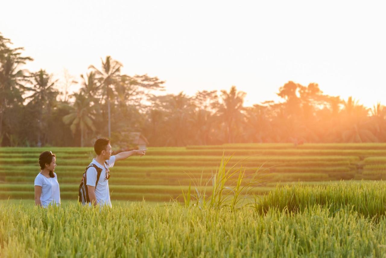 Cenik Villa Ubud Exteriér fotografie