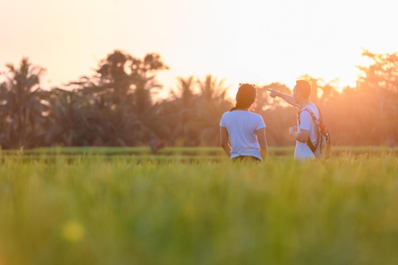 Cenik Villa Ubud Exteriér fotografie