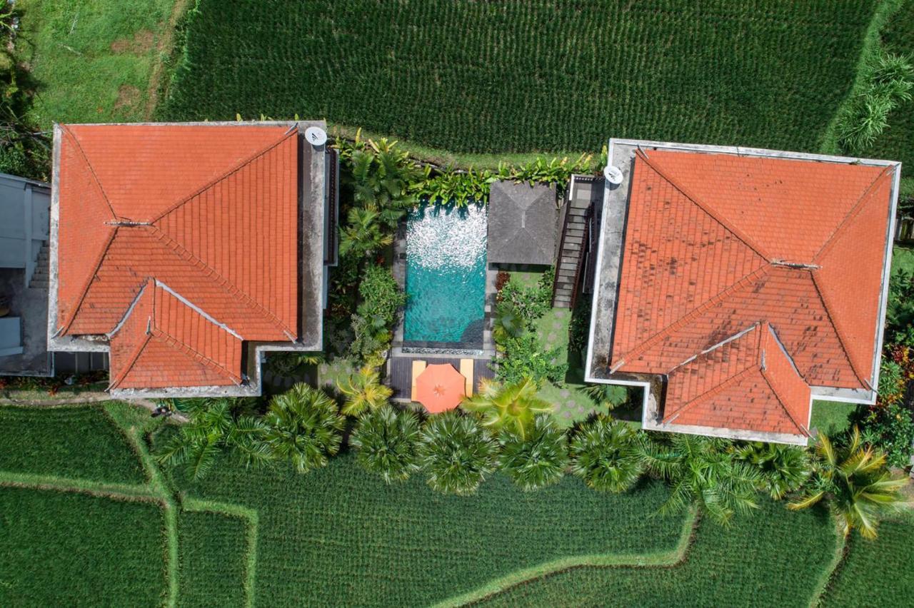 Cenik Villa Ubud Exteriér fotografie